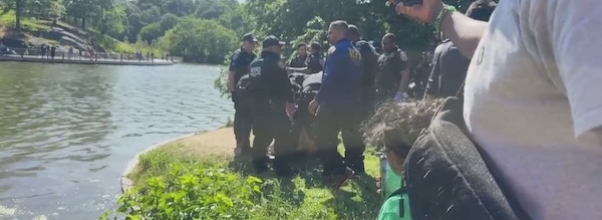 Man Jumps Into Lake to Escape NYPD During Central Park Chase: VIDEO