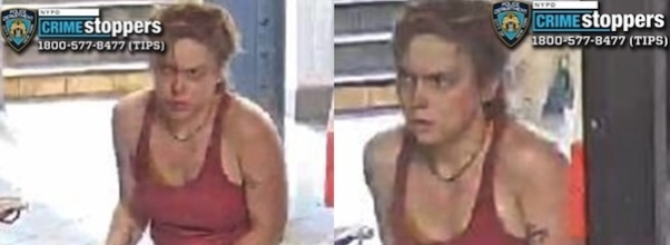 Woman Arrested After Unicycle Collision: Describes Scene in Reddit Post